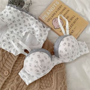 BM Studio [BM Wind Bear]ชุดชั้นในผู้หญิงหน้าอกเล็กรวบรวมแสดงชุดชุดชั้นในขนาดใหญ่ไม่มีแหวนเหล็กชุดชั้นในผู้หญิง2025หม