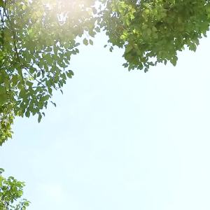 แฟนพกพาขนาดเล็ก 3 IN 1 พัดลมมือถือแบบพกพา ชาร์จ USB พัดลมขนาดเล็กแบบใช้แบตเตอรี่