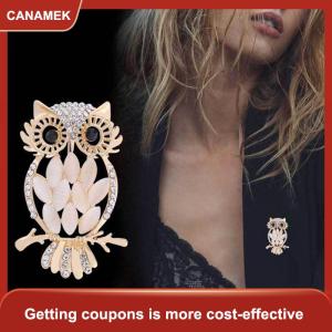 【CANAMEK 】 Retro Fashion Cat Eye Stone Owl Brooch For Women Clothing Coat Accessories Gifts