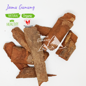 Kulit Kayu Sintok 250gr atau Sitok Kering Organik Asli Hutan!!