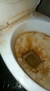Holy Clean / Pembersih Kerak Dll