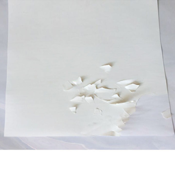A4 Egg Shell Fragile Sticker Tamper Proof Label Paper for LASER Printer