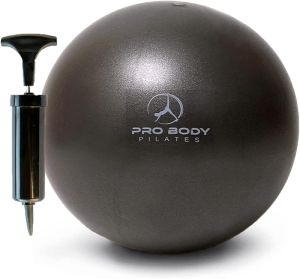 ProBody Pilates Ball Small Fitness Ball With Pump 9 Inch ( about 22.9 cm ) Bally Ball Soft Yoga Ball Stable Fitness Abdominal Muscle Core Physical and Physical Therapy Ball