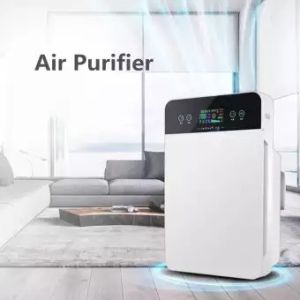 Big XL (Local Warranty) Anti PM2.5 Air Purifier Ion / Penapis Udara with Free Extra 1pc Filter (English Version)