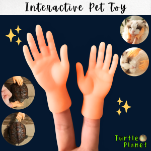 Interactive Cat Toy Pet Toys Finger Gloves for Kittens Turtle Accessories Cat Scratcher Games Funny Pets Toy Supplies