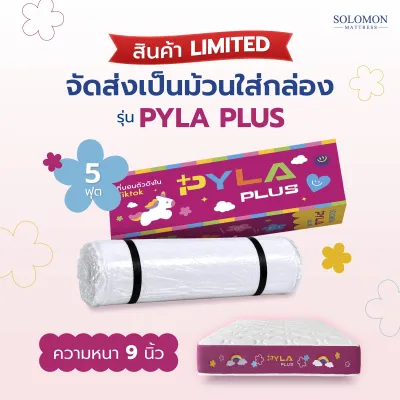Solomon ที่นอนสปริง รุ่น Pyla Plus หนา 9 นิ้ว ที่นอนนุ่มแน่น รองรับสรีระ ลดอาการปวดหลัง กันไรฝุ่น นอนสบายทุกคืน