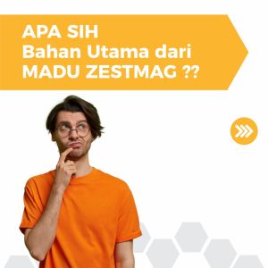 Madu ZESTMAG Asli Obat Herbal Asam Lambung Tinggi Maag Kronis dan Gerd