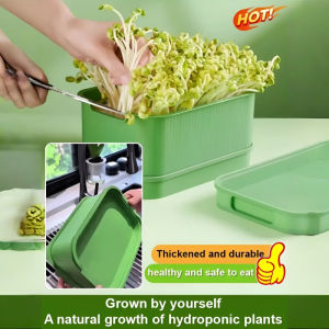 Block Out Light Seedling Tray Special Planting Pot Home Sprouting Planting Pot Soilless Green Bean Sprout Plate Safety Water Level Hole Ecofriendly Plastic Material Plantation