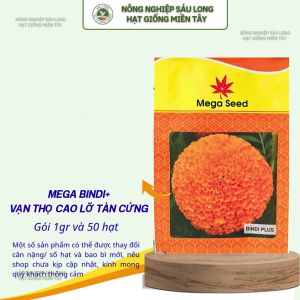 Hạt Giống Vạn Thọ F1 BINDI(+) Cam Đỏ – Cổ Lùn Bông 8-10CM – Mega Seed