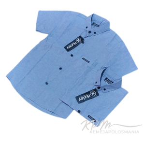 KEMEJA ANAK LAKI LAKI WARNA SAGE BEST SELLER/ KEMEJA ANAK 4 TAHUN/ KEMEJA ANAK 6 TAHUN/ KEMEJA ANAK 8 TAHUN/ KEMEJA ANAK 10 TAHUN/ KEMEJA ANAK 12 TAHUN/ KEMEJA ANAK 14 TAHUN/ KEMEJA ANAK IMPORT/ KEMEJA ANAK 19 WARNA/ KEMEJA ANAK PRIA/ KEMEJA ANAK POLOS