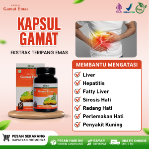 Obat Perlemakan Hati (Fatty Liver) Hepatic Steatosis Penumpukan Lemak Jahat Berlebih Radang Hati