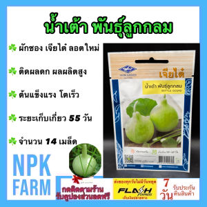 เจียไต๋ น้ำเต้า พันธุ์ลูกกลม หมดอายุ 09/2569 จำนวน 14 เมล็ด ลอตใหม่ ติดผลดก ผลผลิตสูง ระยะเก็บเกี่ยว 55 วัน