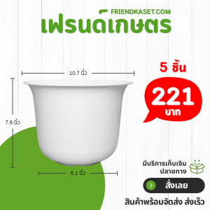 กระถาง กระถางต้นไม้ มินิมอล ถ้วยจีน ขนาด 11 นิ้ว สีขาว 5 ใบ ชิ้น อัน