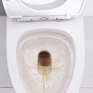 老管家淡雅罗兰洁厕液 500ml Old Butler Toilet Cleaner Powerful Descaling & Deodorizing Long-Lasting Fragrance