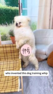 Dog Training Stick Rubber Lovely Pet Pat Dog Toy Stick Correct Bad Habits Dogs Whip Trainer Punishment Device Dogs Accessories