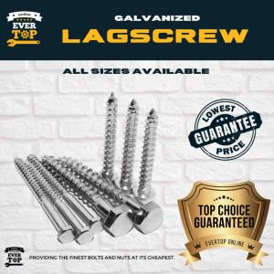 1/4 5/16 3/8 LAGSCREW | LAG SCREW EXPANSION ANCHOR | EverTop Online