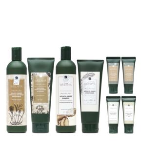 DẦU GỘI XẢ CHỐNG RỤNG KÍCH MỌC TÓC GỪNG HÀ THỦ Ô WEILAIYA GỘI XẢ GỪNG NÂU 400ML + 250ML CHÍNH HÃNG