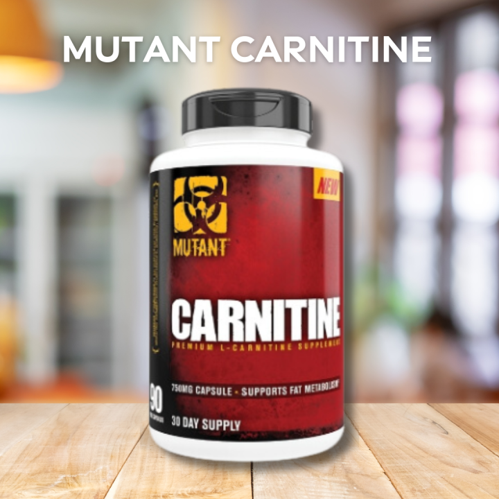 iso plus l carnitine dawkowanie Olimp Iso Plus 700G - Ceny i opinie