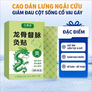 Miếng Dán Long Cốt Đốc Mạch 5 Miếng | Miếng Dán Giảm Đau Lưng Cột Sống | Dán Vai Gáy Thảo Mộc