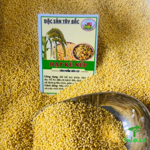 [ 1KG ] Hạt kê nếp vàng đã tách vỏ hạt kê cho bé ăn dặm Hạt kê vàng nấu xôi làm bánh nấu chè.