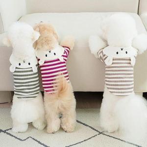 Christmas Gift Halloween Hot MINISO Kawaii Pet Clothing Hello Kitty Cartoon Thin Vest Prevent Hair Loss Animal Fashion Loungewear New Style Wholesale kit