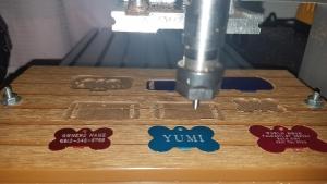 Engraved pet tag -- Small Circle