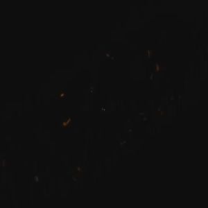 Ingco Cr-V Compound Action Long Nose Pliers 8.5" Inch with Spanner Fuction HCLNP58200 HT2