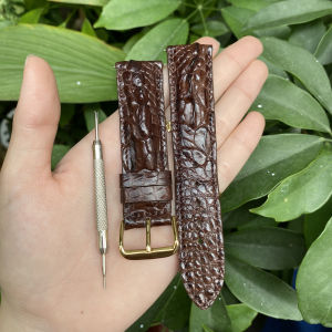 DHK.Dây đồng hồ Da Cá Sấu Gai Tay Cá Sấu Khóa Kim Phát hiện giả ĐỀN 10 LẦN TẶNG 2 chốt và cây tháo lắp đồng hồSIZE 18/19/20/21/22/24mm dây đồng hồ cá sấu nam dây đồng hồ cá sấu nữ