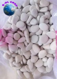 promo Batu koral putih kupang paket 3 kg akuarium taman