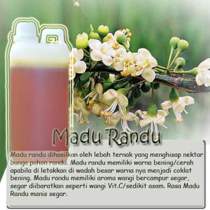 Madu Asli Murni Hutan Randu 1kg