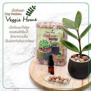 เม็ดดินเผา Clay Pebbles คละสี โรยหน้าดิน ปลูกไม้น้ํา หยดน้ํามันหอมระเหย Veggie Home