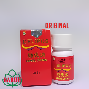 delipus 20 kapsul chang yien siao kapsul cacing demam tipes chang yien asli
