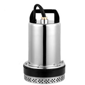 ZIRON DC 12V 24V 48V 240W/300W/350W Water Pump 2Inch Outlet Submersible Well Pump Swimming Pool Pond Flood Drain