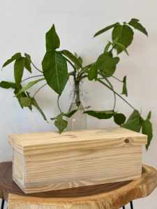 Thùng nuôi ong dú hộp nuôi ong dú nắp rời gỗ thông Mỹ dày từ 2cm-2.15cm - Kích thước: 40-15-15cm
