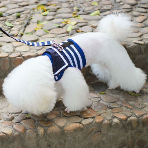 Pet Chest Harness with Leash Breathable Dog Traction Rope for Small Dogs Teddy