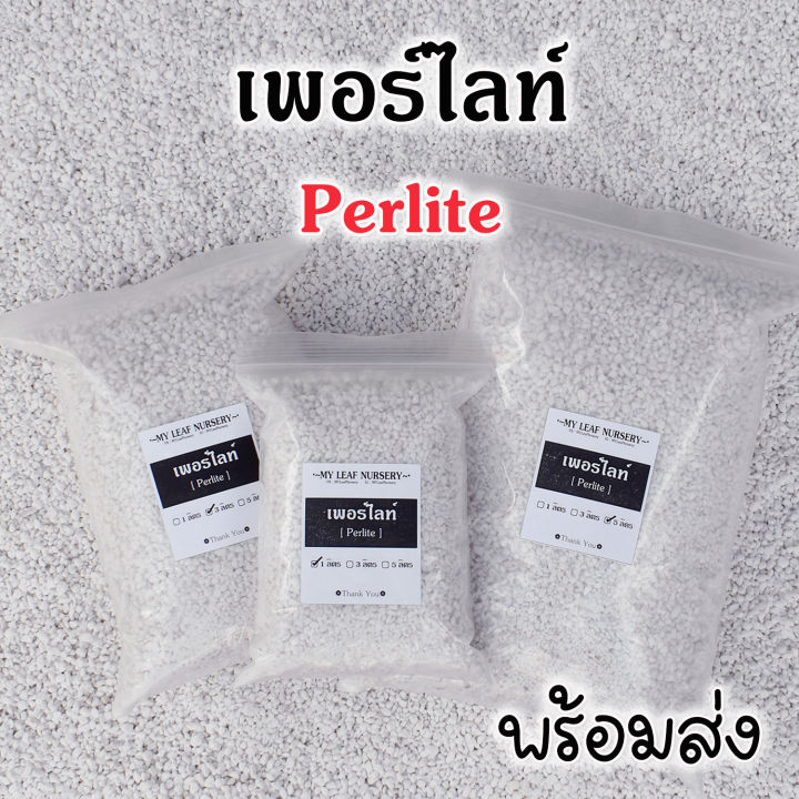 เพอร์ไลท์ Perlite นำเข้าจากตุรกี สำหรับแคคตัสและไฮโดรโปนิกส์