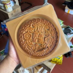 SẴN - Bánh Trung Thu Mochi Khoai Môn Trứng Muối 500GR