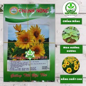 (Gói 1gr) Hạt Giống Hoa Hướng Dương CN 57 CHÁNH NÔNG - Hoa hướng dương nhiều bông