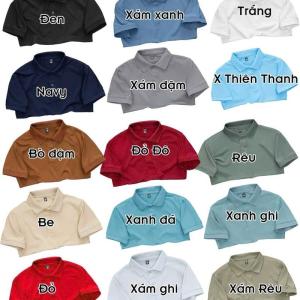 Polo VN Ngày tết Mã Đáo Thành Công ( 6 Màu Quốc Dân ) Dễ Phối Đồ đen phối xám thời trang