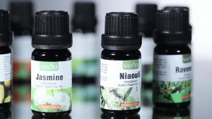 All English Essence SADOER Pine Tree Fragrance Essential Oil Nourishing Skin Body Universal