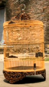 sangkar murai no3 sangkar ukir kayu jati sangkar murai no3 sangkar murai kayu sangkar bulat no1 sangkar bulat no2 sangkar bulat no3 sangkar murai bnr sangkar murai ebod sangkar anis sangkar wambi sangkar lovebird sangkar merpati sangkar kenari