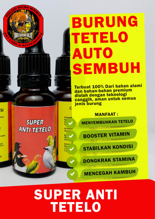 SUPER ANTI TETELO OBAT BURUNG TETELO AUTO SEMBUH UNTUK MURAI KACER LOVEBIRD CENDET MERPATI