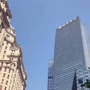 Hong kong genuine Doughnut Doughnut Backpack Mens and Womens School Bag Backpack Travel Laptop Bag mini Bag