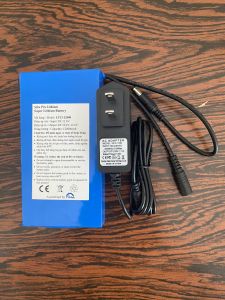 Pin Lithium 12V-12Ah (12000mAh)