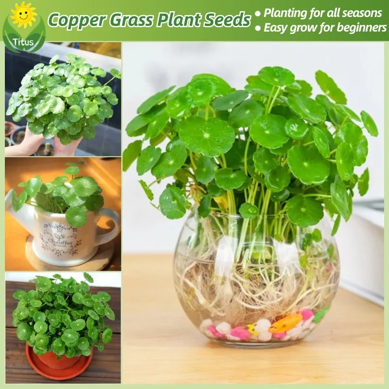 are plastic plant pots recyclable Recycled Plastic Planter – Spaceboundstore main image 1