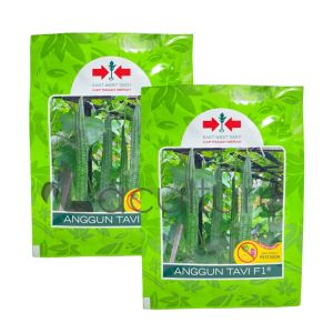 Benih Oyong Gambas ANGGUN TAVI F1 Isi 75 Butir Cap Panah Merah