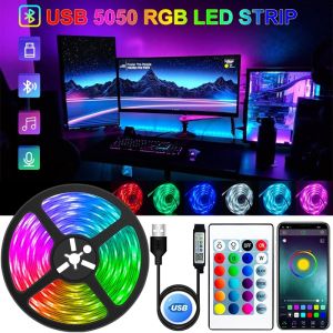 Paket Lampu LED Strip RGB 5V USB 5 Meter 5050 IP44 3 TOMBOL Controller mini Bluetooth Tv Warna Warni