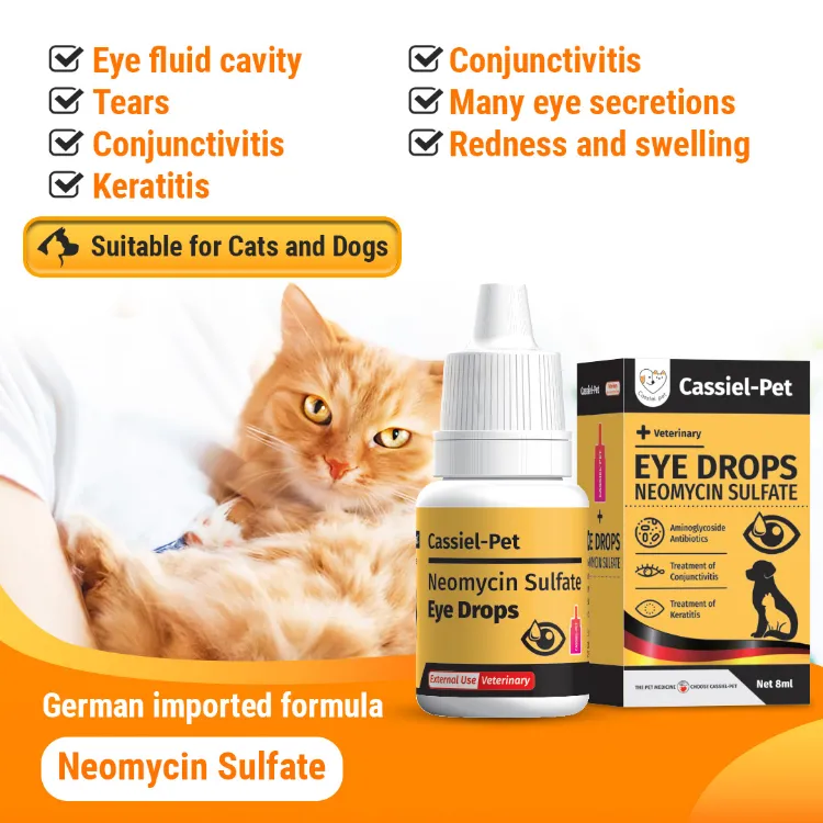 Cassiel Pet Gentamicin Sulfate Eye Drops For Eye Infection Cloudy