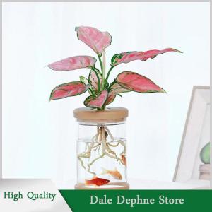 [Dale Dephne] ขี้เกียจโปร่งใสกระถาง hydroponic ดูดซึมน้ำอัตโนมัติ