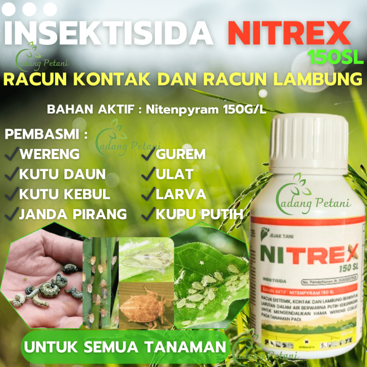 NITREX INSEKTISIDA BASMI HAMA ULAT GUREM JANDA PIRANG KUTU DLL